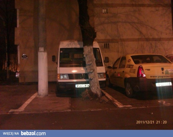 Mistrz parkowania