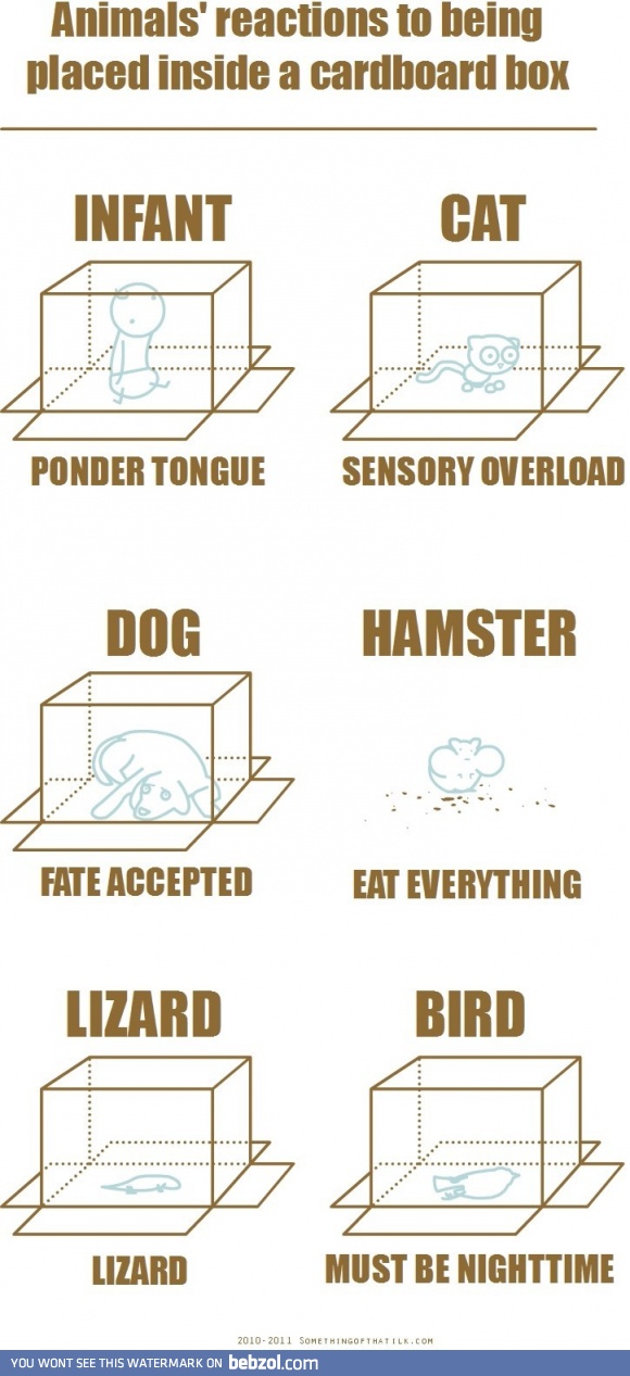 Accurate