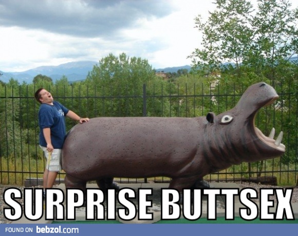 Surprise!