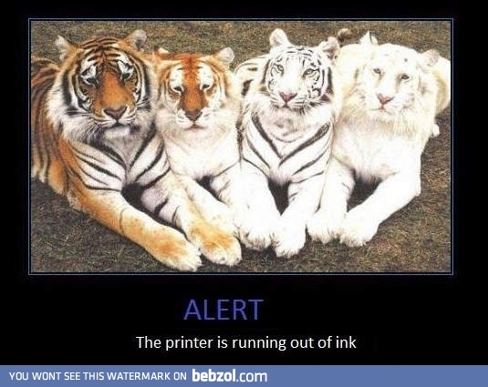 Need to buy ink cartridge