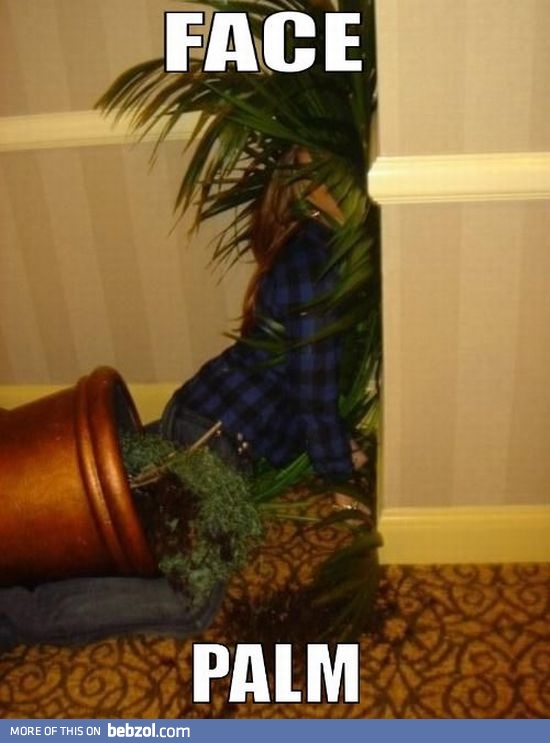 Like a boss