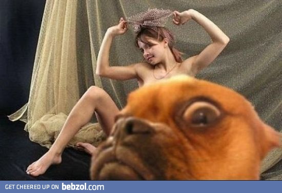 Photobomb