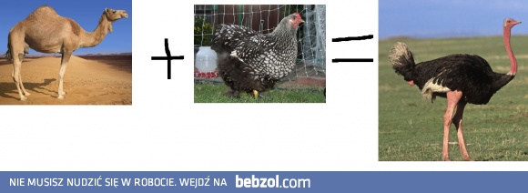 Już chyba to rozumiem...