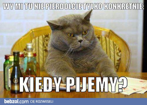 Konkrety panowie!