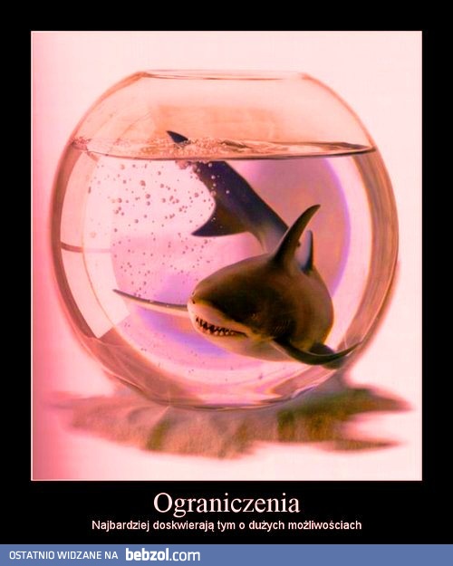 OGRANICZENIA