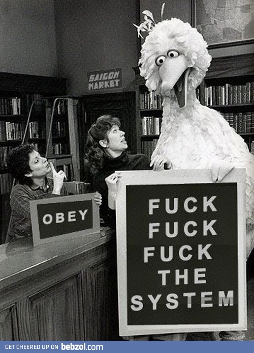 F**k the system