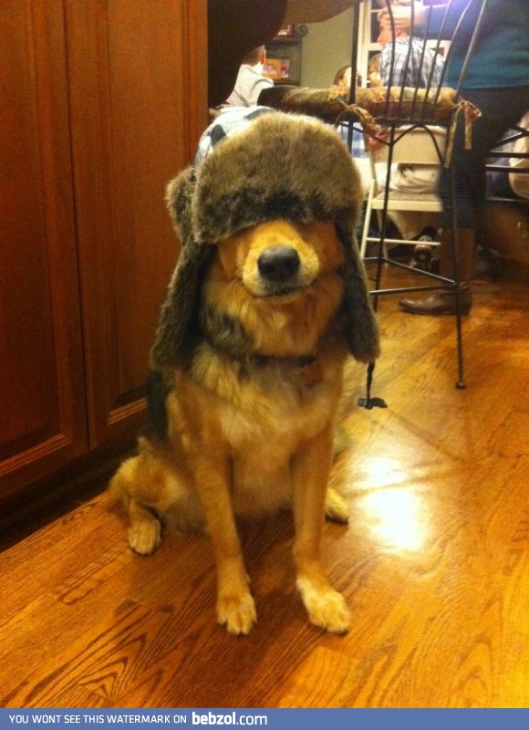 Winter is coming