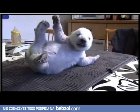 Zabawy do białego rana,najlepszej muzyki,pysznego szampana oraz aby każdy kolejny dzień był tak beztroski jak dni nowonarodzonego misia polarnego SIKU. 