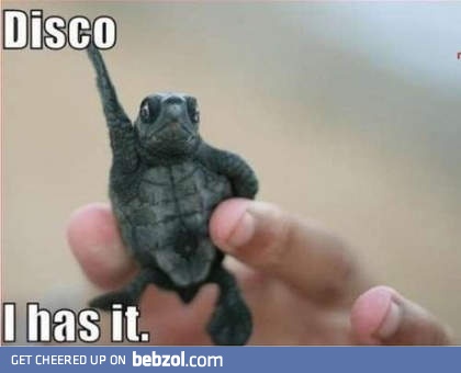 Disco inferno