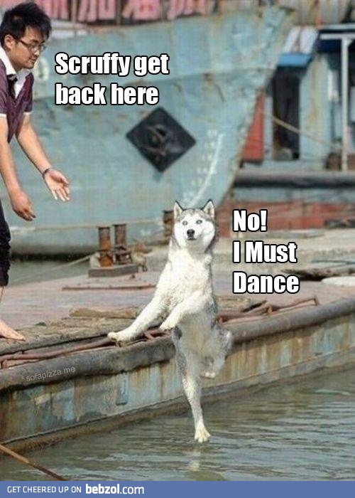 hoi! gets me every time