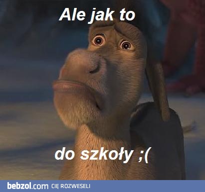 To chyba tyczy się nie tylko szkoły