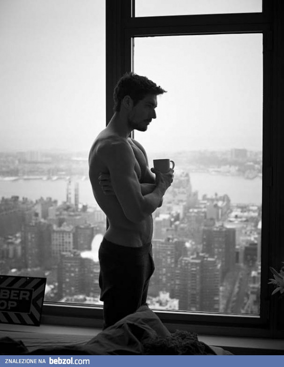 Miły widok o poranku