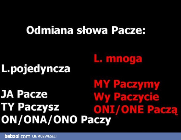 Poprawna odmiana