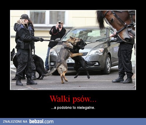 Polskie realia