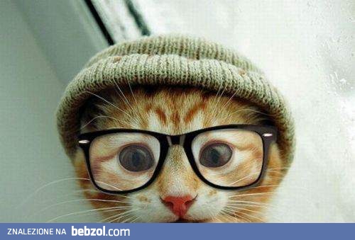 hipster na Was paczy!