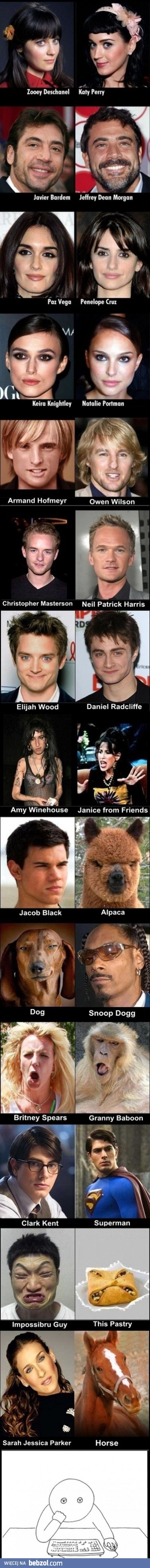 Celebryci jak dwie krople wody. A Ty masz swojego sobowtóra?