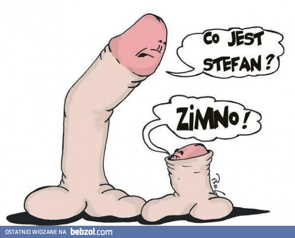 Stefan nie lubi zimna