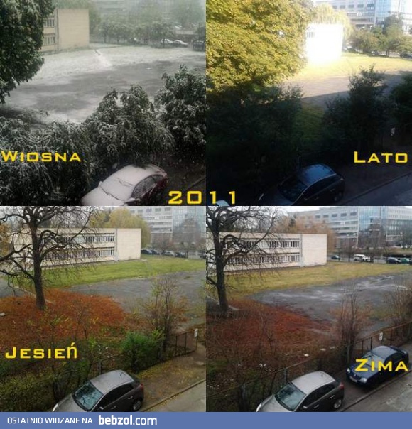 Znajdź 4 różnice