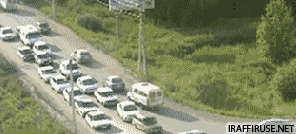 Z drogi śledzie autobus jedzie!