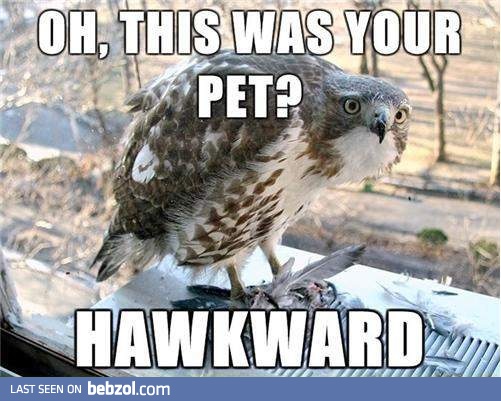 Oh, sorry...