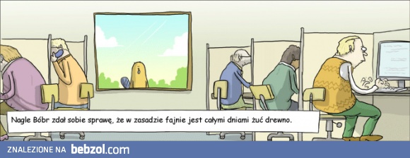 Bóbr już wie