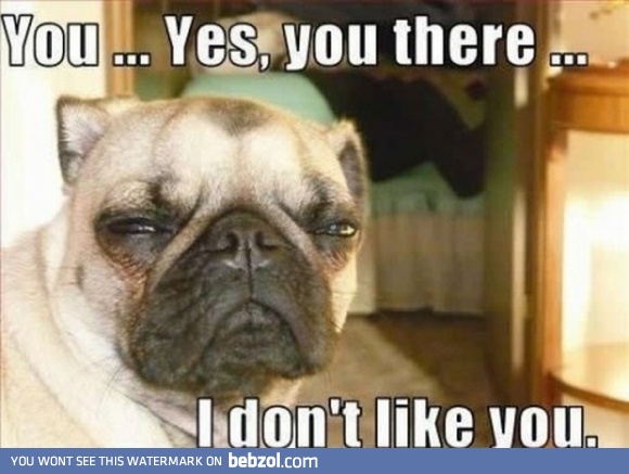 I dont like you...