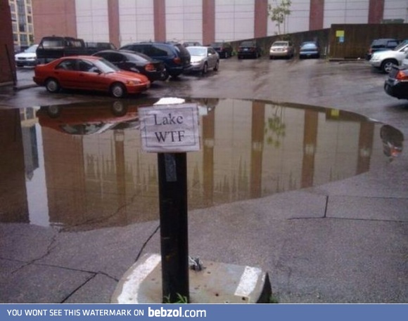 Lake WTF