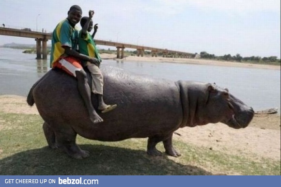 Riding like a boss