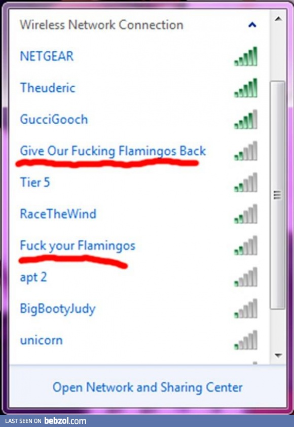 Must be some nice flamingos