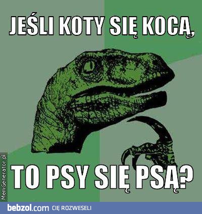 Koty a psy