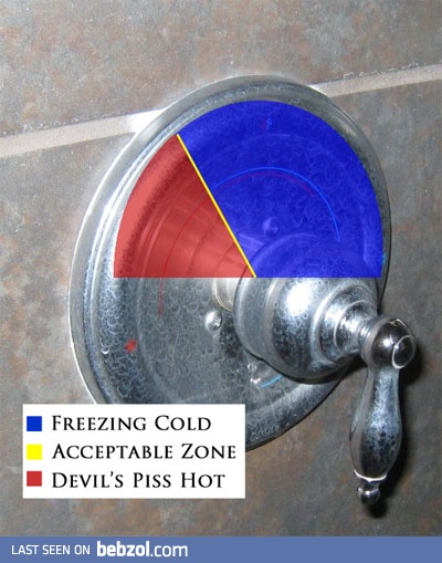 Anybody have one of these in the bathroom?