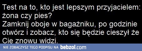 Kto jest lepszym przyjacielem? Test!