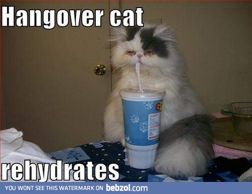 poor kitty...