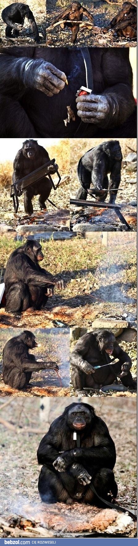 Małpa sobie zrobi a facetów trzeba karmić...