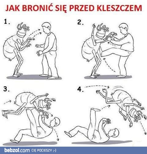 Co robić podczas ataku kleszcza?