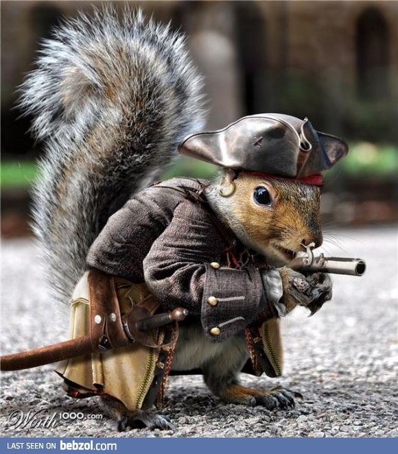 Jack Squirrel