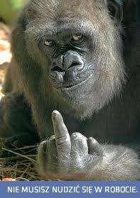 Jak Ty mnie, tak ja Tobie...