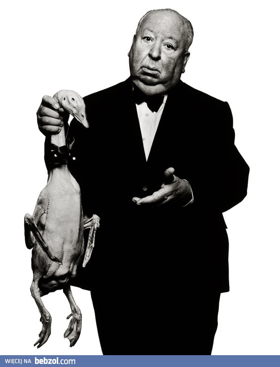 No, to już jest po ptakach...