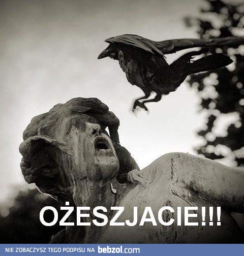 Znowu Ty?!