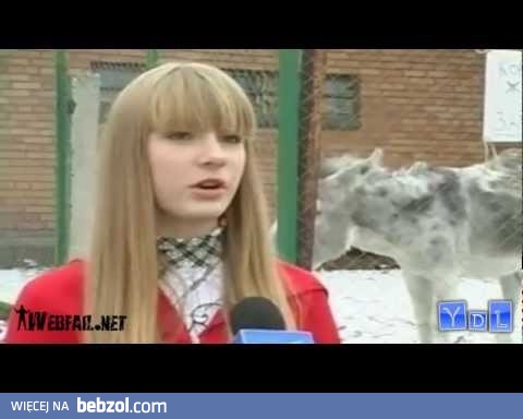 Wpadki ze słodkimi zwierzakami