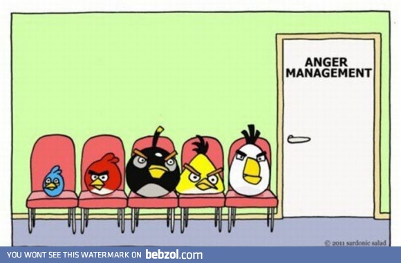 Angry birds