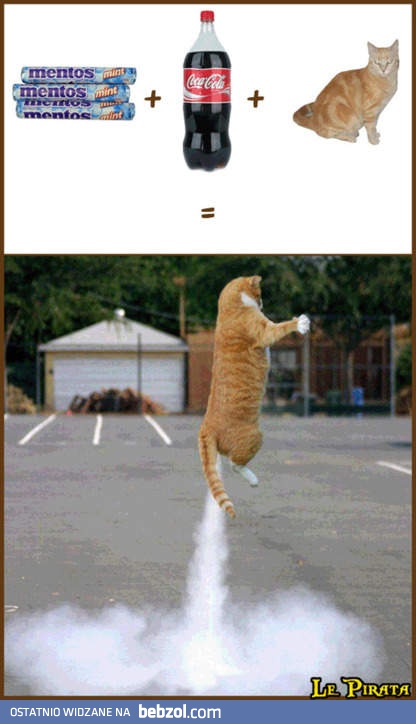 Przepis na latającego kota
