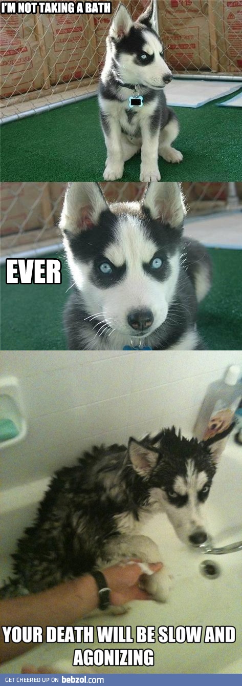 I'm not taking a bath...
