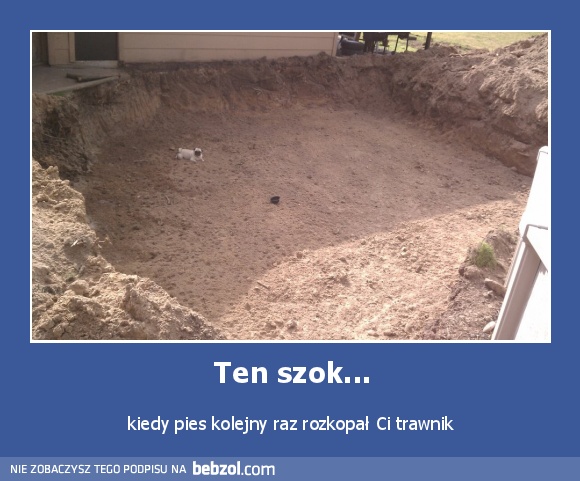 Ten szok...