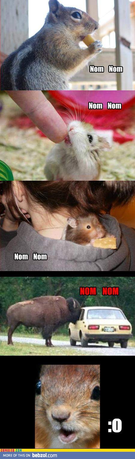 Om nom nom nom