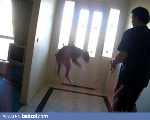 No to będzie spacerek!