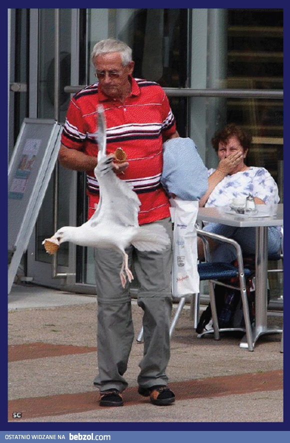 Miłośniczka lodów