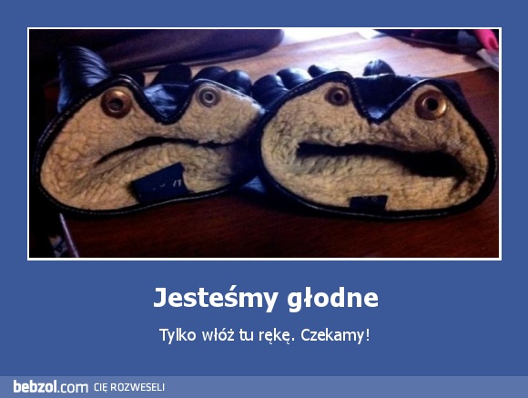 Jesteśmy głodne