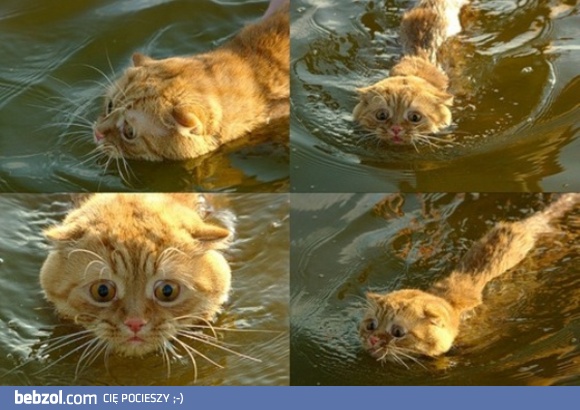 Zabierzcie mnie stąd, szybko,błagam!!!