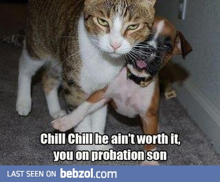 chill chill...